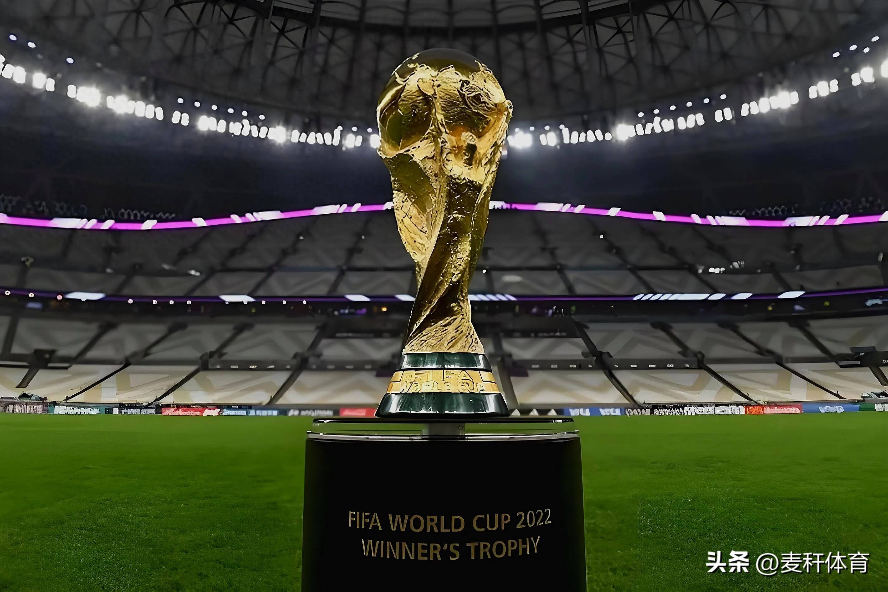 稳定的投篮 稳定的投篮