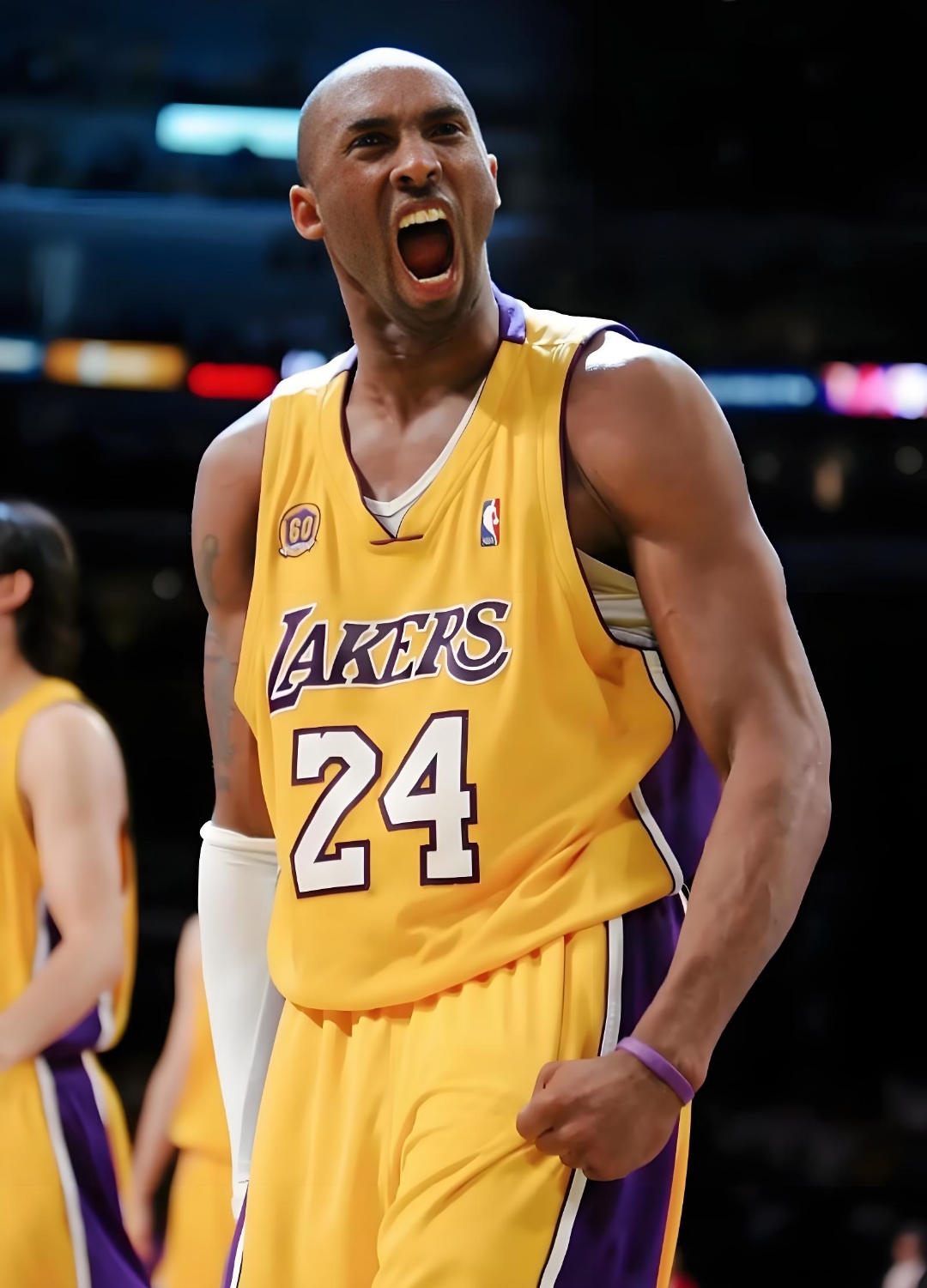 也不能替代 也不能替代