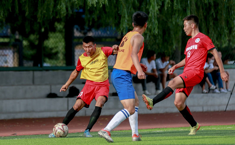 不仅是一座 不仅是一座